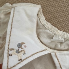 Cottoli 70cmの画像