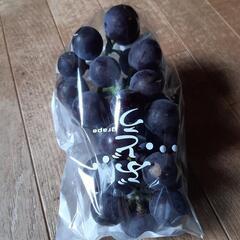 葡萄(ブドウ)　藤稔(フジミノリ)　1房(500g)～