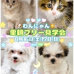 わんにゃん🐶🐱里親フリー見学会
