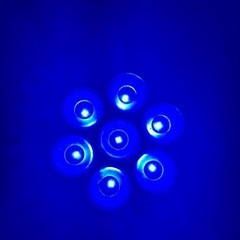 海水魚水槽　LEDスポットの画像