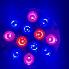 海水魚水槽用LEDライトの画像