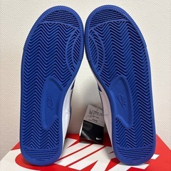 NIKE ターミネーターハイ　28センチの画像