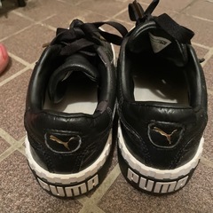 PUMA22センチの画像