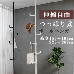 突っ張り式ポールハンガーの画像