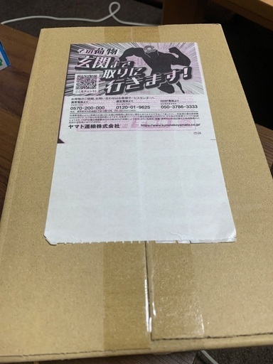 ポケモン　トウホク　限定