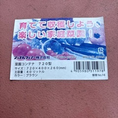 大きめ鉢の画像