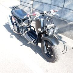 ズーマーカスタム車ロンスイ！！エンジン始動OK♪車実働50cc 原付 富山、石川、金沢の画像