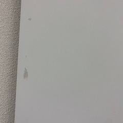 本棚 可動棚 高さ180 幅60 奥行30  の画像