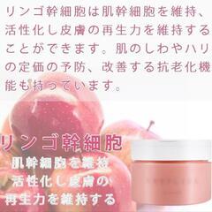 【定価3,520円】新品未使用未開封　choplica　チョプリカ　クレンジングバームの画像