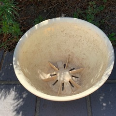 植木鉢プラスチックDの画像