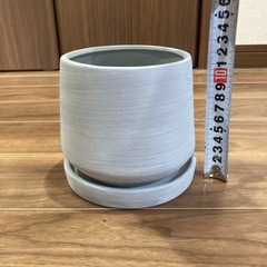 植木鉢の画像