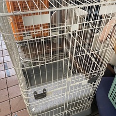 キャットケージの画像