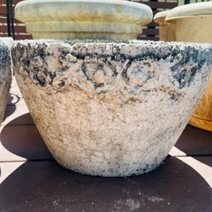 鉢植え9個セットの画像