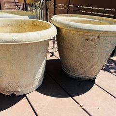 鉢植え9個セットの画像