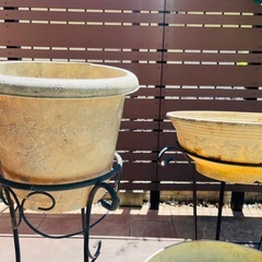 鉢植え9個セットの画像