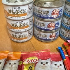 ねこ　おやつの画像