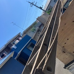 ２連はしごの画像