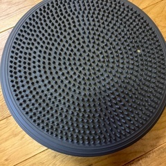 タニタ　クッションの画像