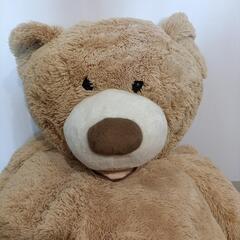 【クリーニング済】コストコ　テディベア　135cmの画像
