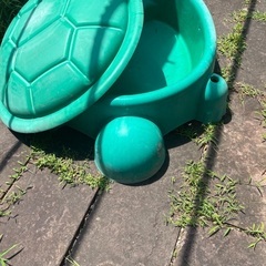 カメのお砂場の画像