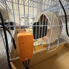 【定価32,967円】小動物ゲージセットの画像