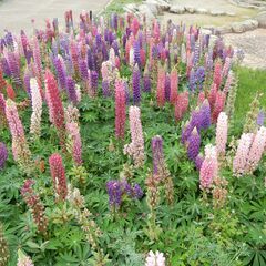 ☎️世間の風は冷たい、✨職場は極暖で楽しく明るくが良いですよね。友達感覚の職場は如何でしょうか？の画像