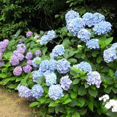 ☎️世間の風は冷たい、✨職場は極暖で楽しく明るくが良いですよね。友達感覚の職場は如何でしょうか？の画像