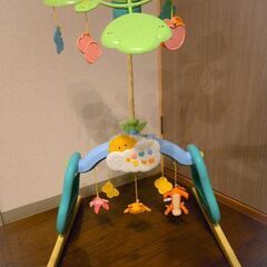 プーメリーの画像