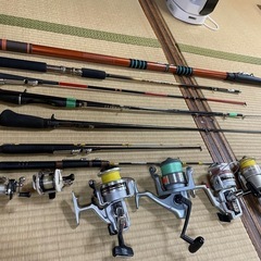 川と海の釣り竿セット、アクセサリーとケース付きの画像