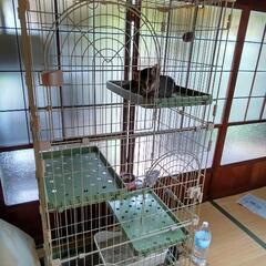 猫のゲージの画像