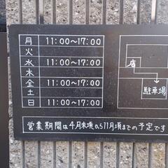 メダカ販売の画像