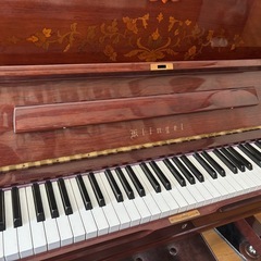 クリンゲル　KU-250CMの画像