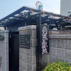 メダカ販売の画像
