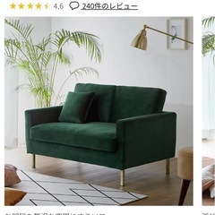 LOWYA 2人掛けソファ ベルベット調 ポケットコイル 幅128