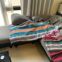 大きなソファー　おしゃれな敷物セットの画像
