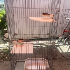 ペットゲージ  猫 ゲージの画像