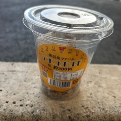 イエコオロギの画像