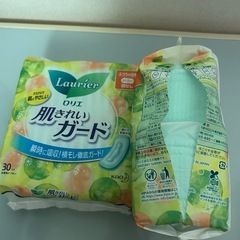 ロリエ肌きれいガード羽なしの画像
