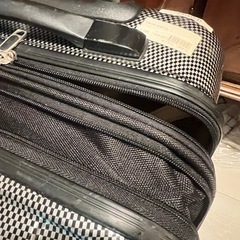 機内持ち込みサイズ トランクの画像