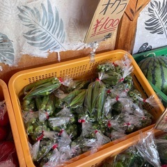大きくて柔いオクラ販売開始です。の画像