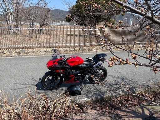 スズキ GSXR125