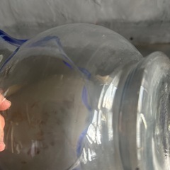 レトロ金魚鉢の画像