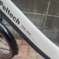 PELTECH(ペルテック) 折り畳み電動アシスト自転車 20インチ折り畳み外装6段変速(TDN-206L) の画像