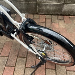 PELTECH(ペルテック) 折り畳み電動アシスト自転車 20インチ折り畳み外装6段変速(TDN-206L) の画像