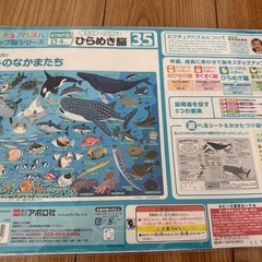ピクチュアパズル　うみのなかまたちの画像