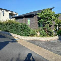 伐採、剪定します。 - 宇佐市
