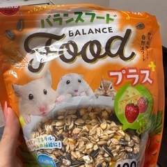 ハムスターベッド・ハムスターフッドの画像