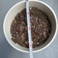 無料　大型の植木鉢の画像
