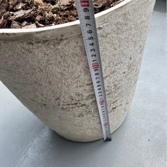 無料　大型の植木鉢の画像