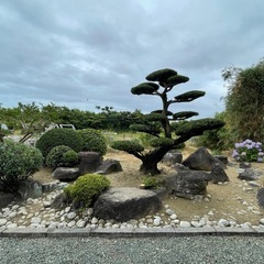 就労B型　管理者代行　1名募集の画像